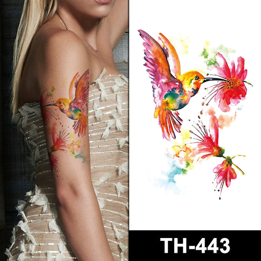 Colorful Hummingbird